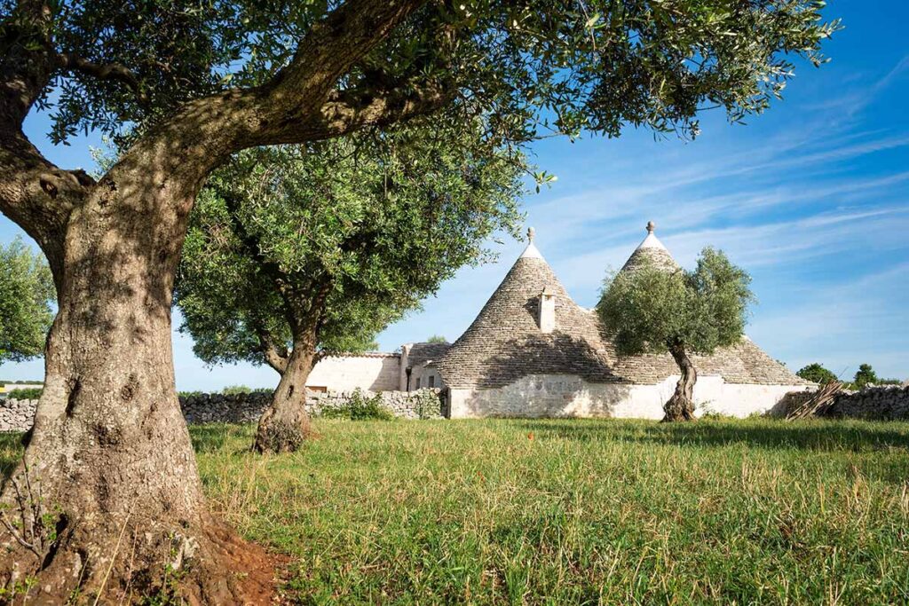 Puglia, trulli e ulivi sono una costante della campagna pugliese