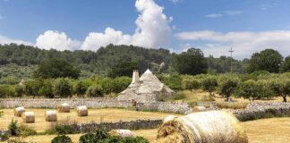 Puglia, dalla Murgia al Salento Puglia, un trullo nella campagna della Val d'Itria dopo il raccolto estivo
