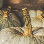 pumpkin-4494154_1280
