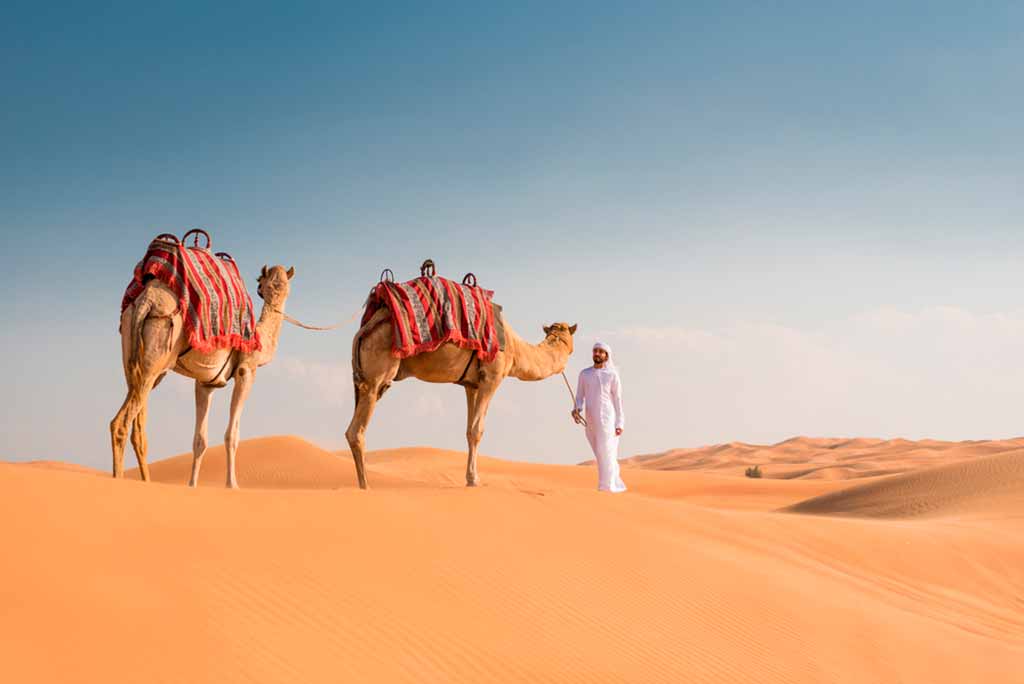 qatar-deserto-escursione-cammello