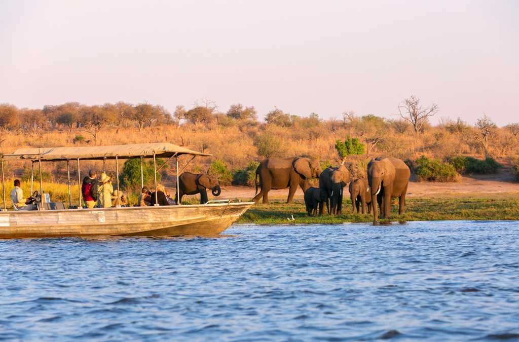 Safari-in-barca-Chobe National-Park
