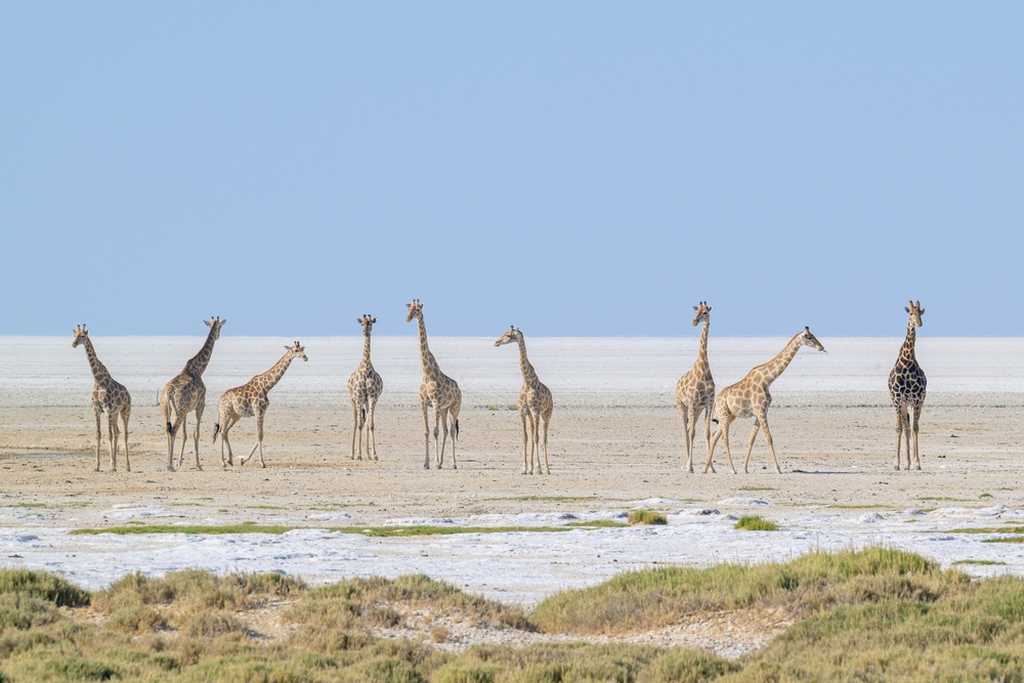 Deserto-di-sale-Namibia