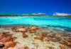 Ponti 2024: le occasioni per vacanze durante l’anno sardegna-spiagge-cala-brandinchi