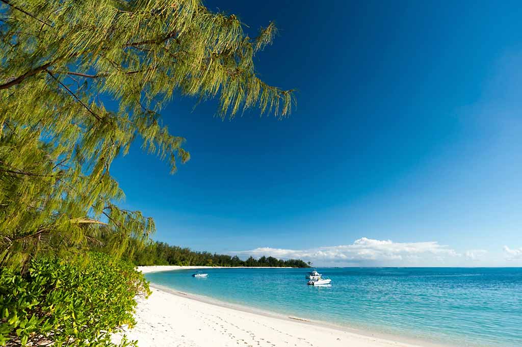 seychelles-denis-island