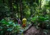 seychelles-la-digue-trekking-nella-foresta-tropicale