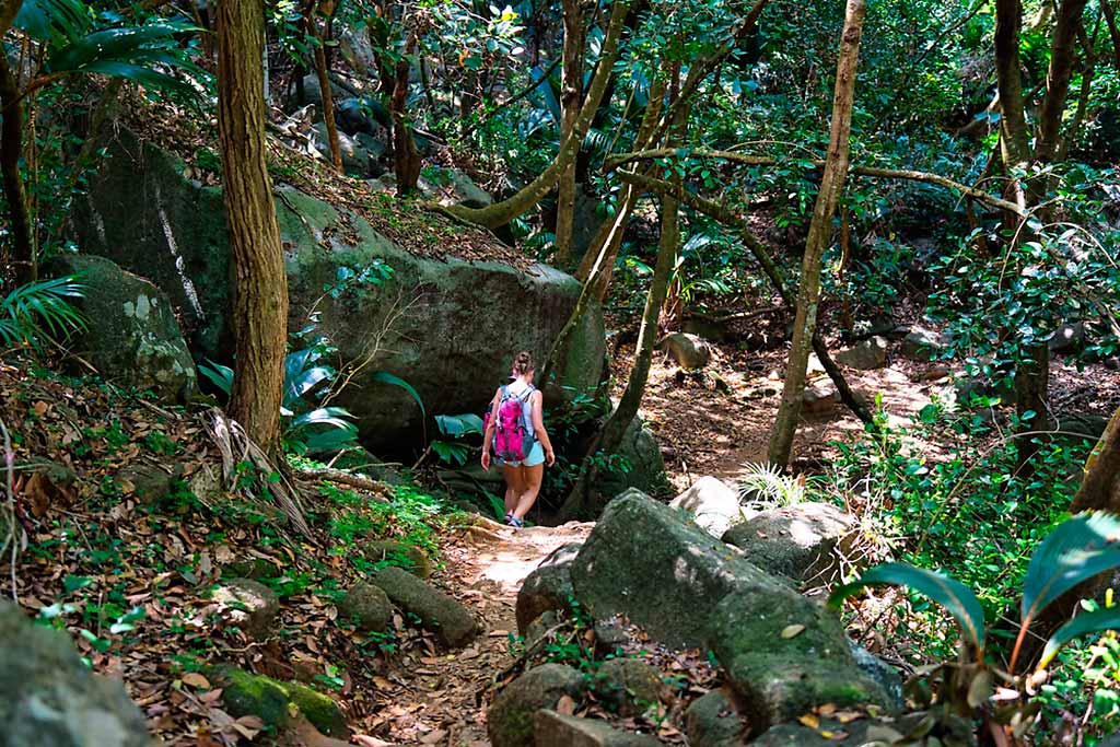seychelles-mahe-trekking-foresta