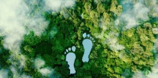 Viaggiare difendendo l’ambiente: ecco cosa si può fare