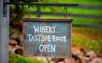 Stati Uniti del Sud, in alto i calici nell’autunno dorato stati-uniti-autunno-vino-vigneti