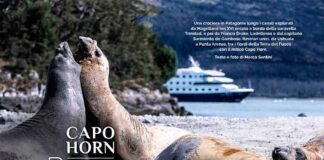 Capo Horn: Prua verso sud strertto-magellano-leoni-marini