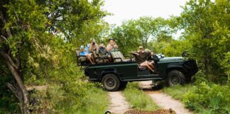 L’esperienza unica di un viaggio in Africa sudafrica-safari-kruger-4x4