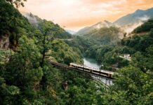 Autunno in Ticino: Foliage, Castagne e i 120 Anni del Merlot Ferrovia centovallina. Ponte Borgnone, tra Palagnedra e Camedo, svizzera, ticino