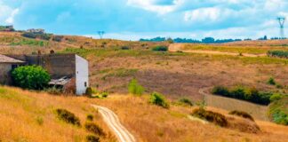 toscana-via-francigena-cammino