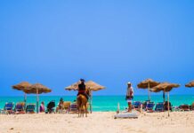 Djerba: tra benessere, swing e cultura viva tunisia-djerba-spiaggia