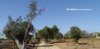 Salento: nove Comuni fanno un tesoro