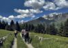 Via Raetia: in cammino tra natura, storia e archeologia valcamonica-via-raetia-cammini-trekking