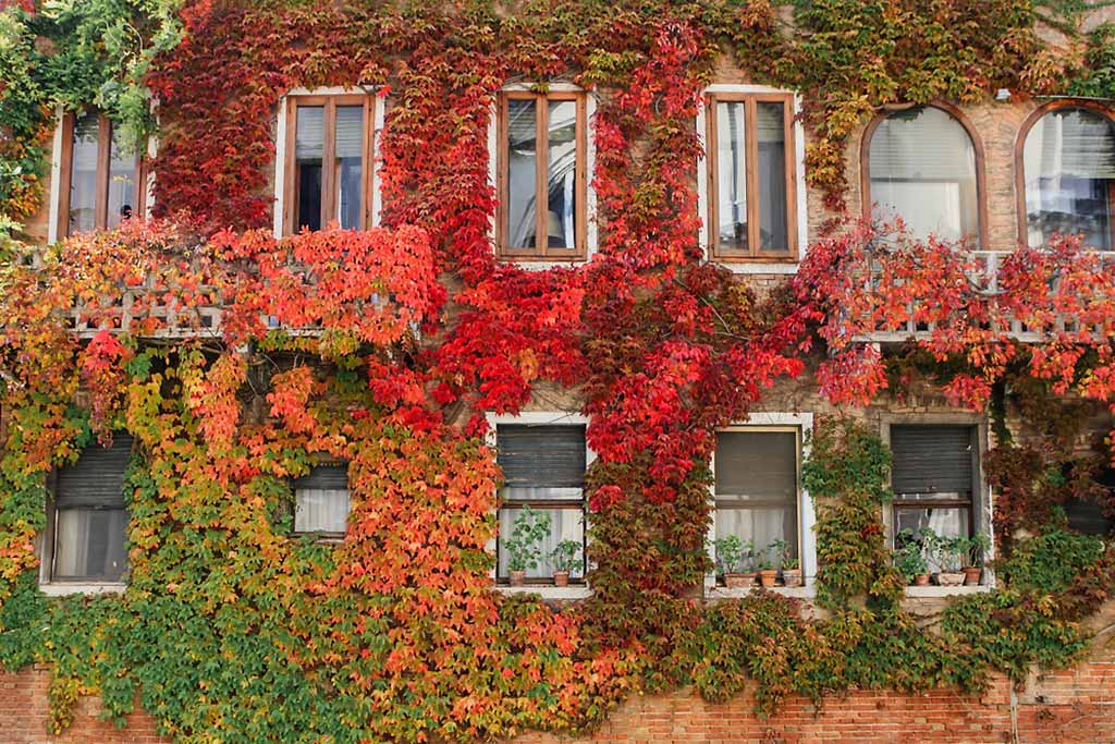 venezia-autunno