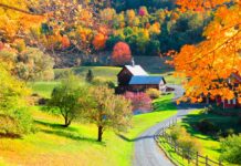 Foliage, le mete più belle per ammirare i colori dell’autunno viaggio-in-america-vermont-campagna-autunno