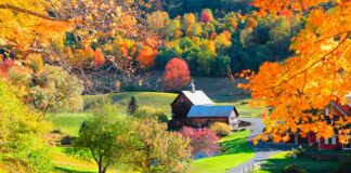 viaggio-in-america-vermont-campagna-autunno