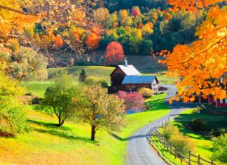 Foliage, le mete più belle per ammirare i colori dell’autunno viaggio-in-america-vermont-campagna-autunno