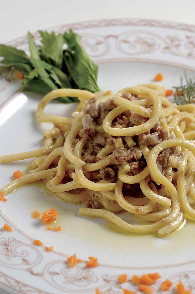 vicenza_bigoli_ragu_anatra
